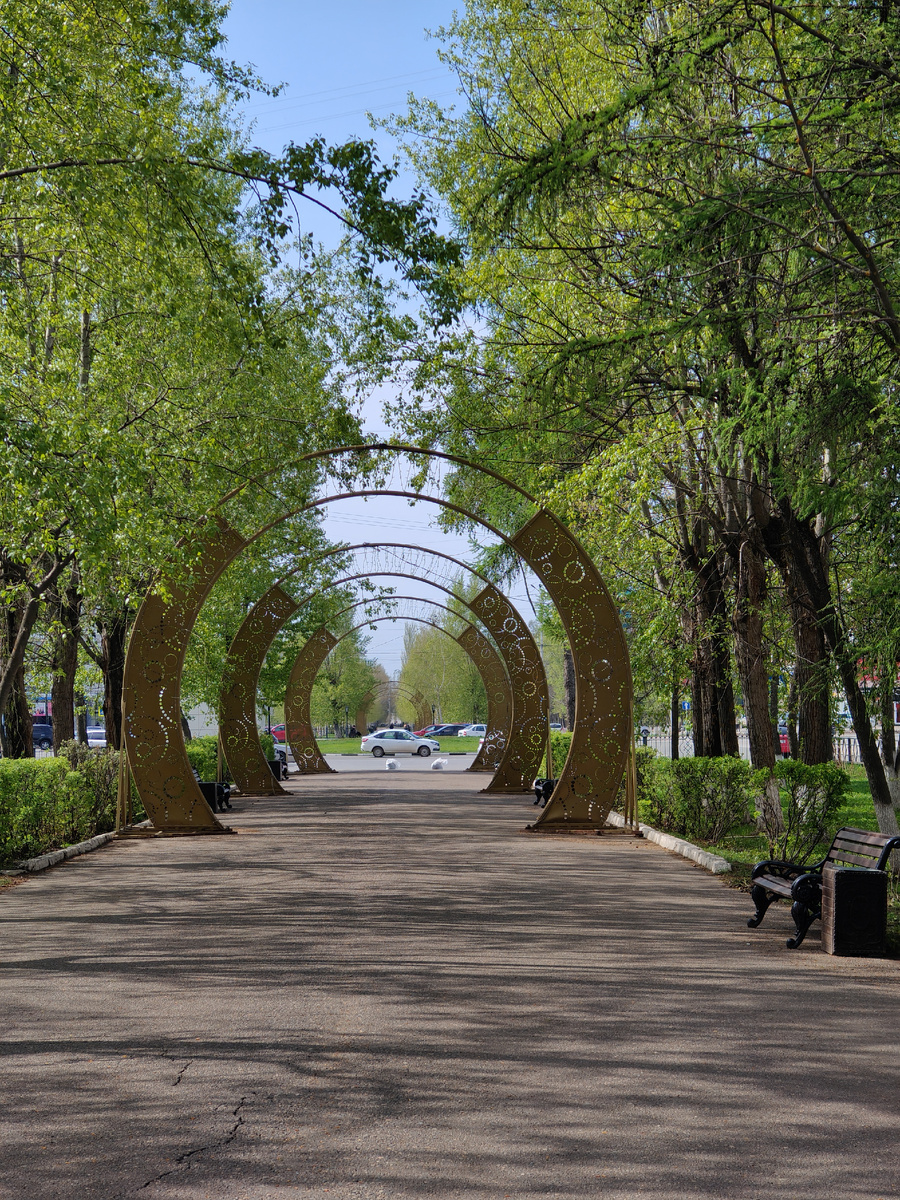 Зелень такая свежая 