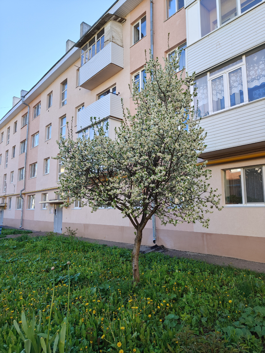 Прекрасна весна!