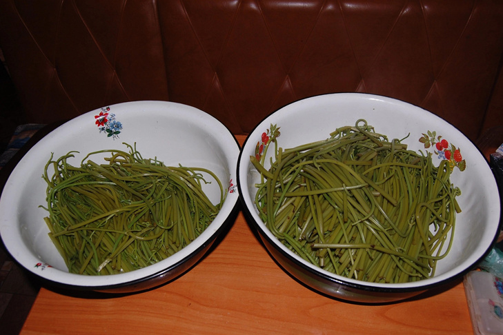    Фото Натальи Давыдовой