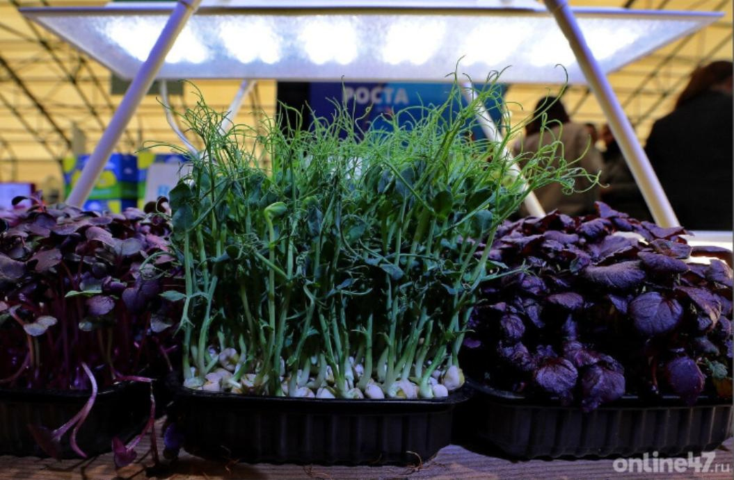 Валентин Илюшин/Online47