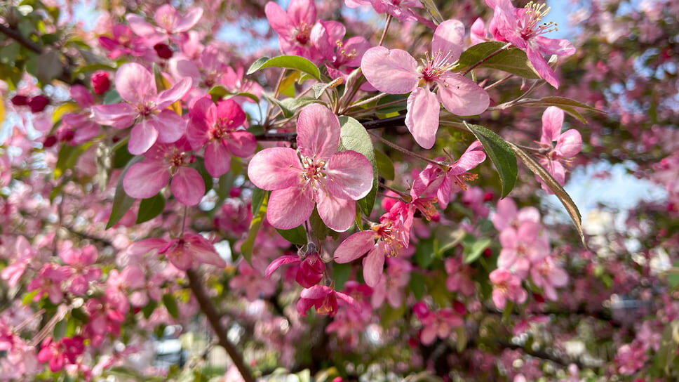Фото: Игорь Елисеев / Коммерсантъ