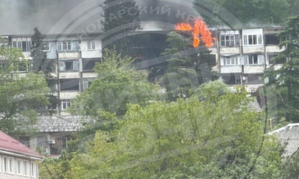    Фото t.me/sochitypical