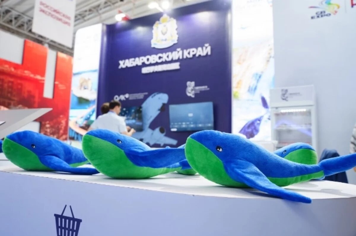    В Хабаровске представили деловую программу Российско-Китайского форума