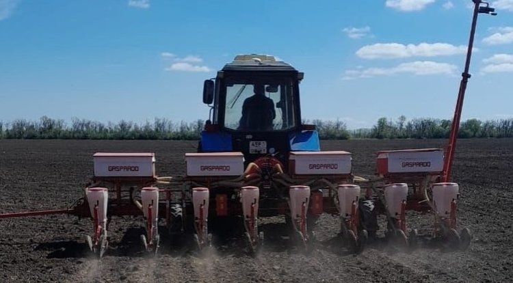    В Ростовской области создаются демучастки для новых сортов сельхозкультур