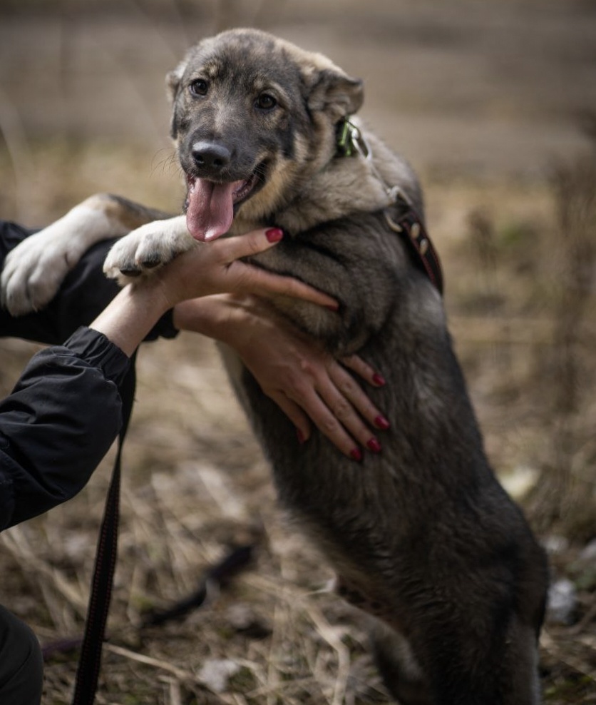 Славный парень