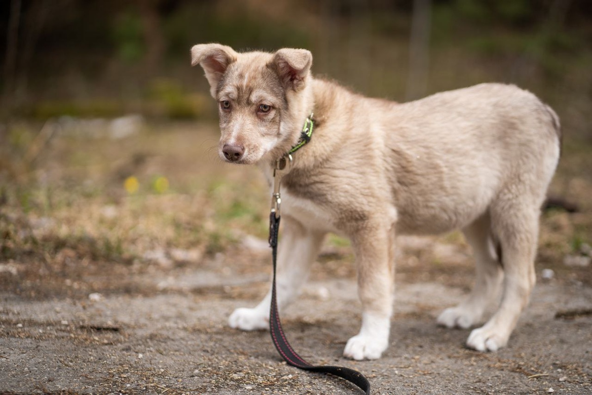 С таким замечательным другом  без внимания вы не останетесь.