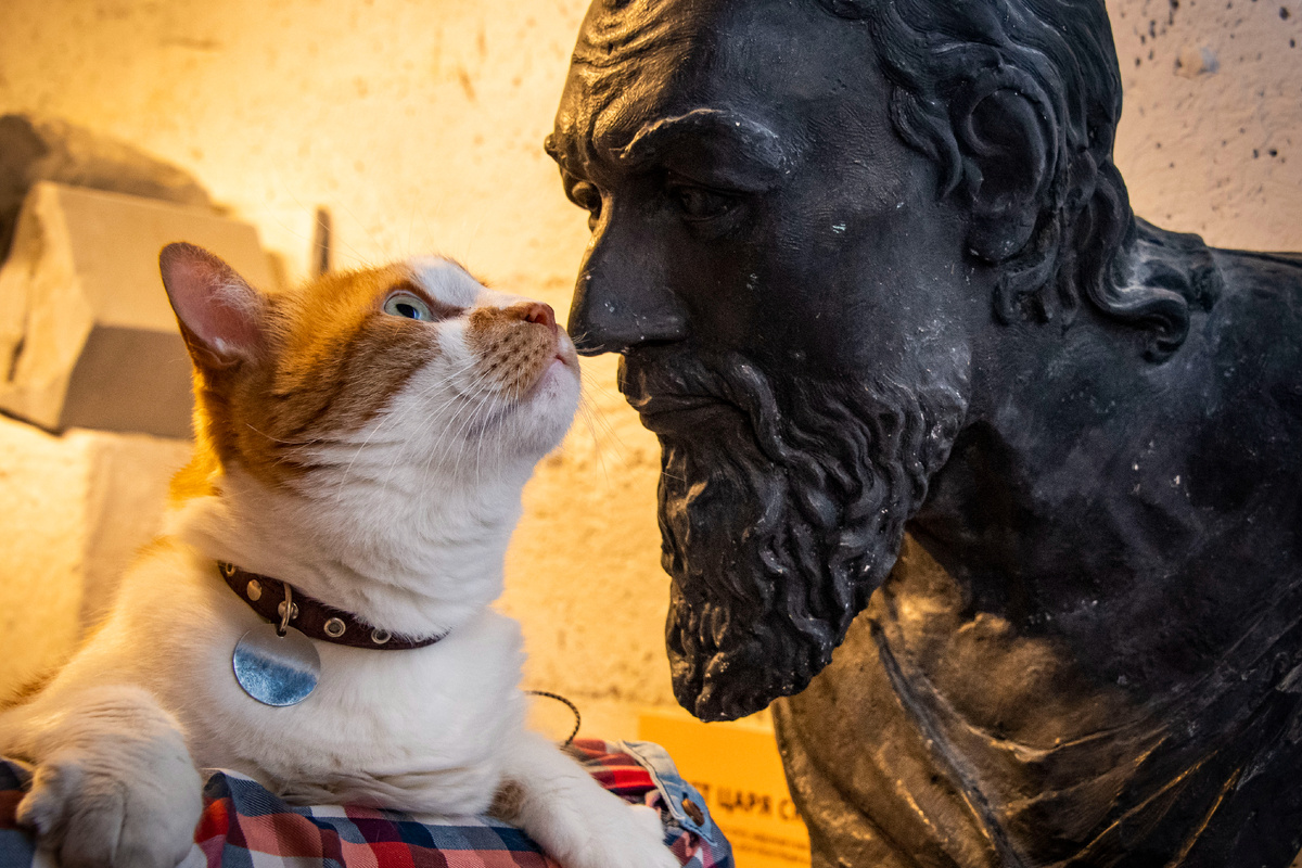 Бюст удалось воссоздать по черепу, найденному в каменной гробнице мавзолея Скилура.