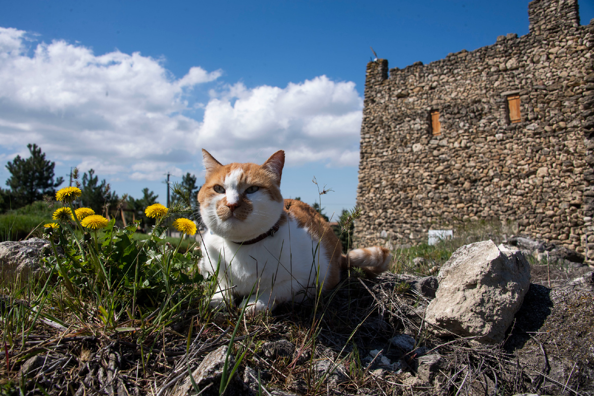 Приятного прочтения!