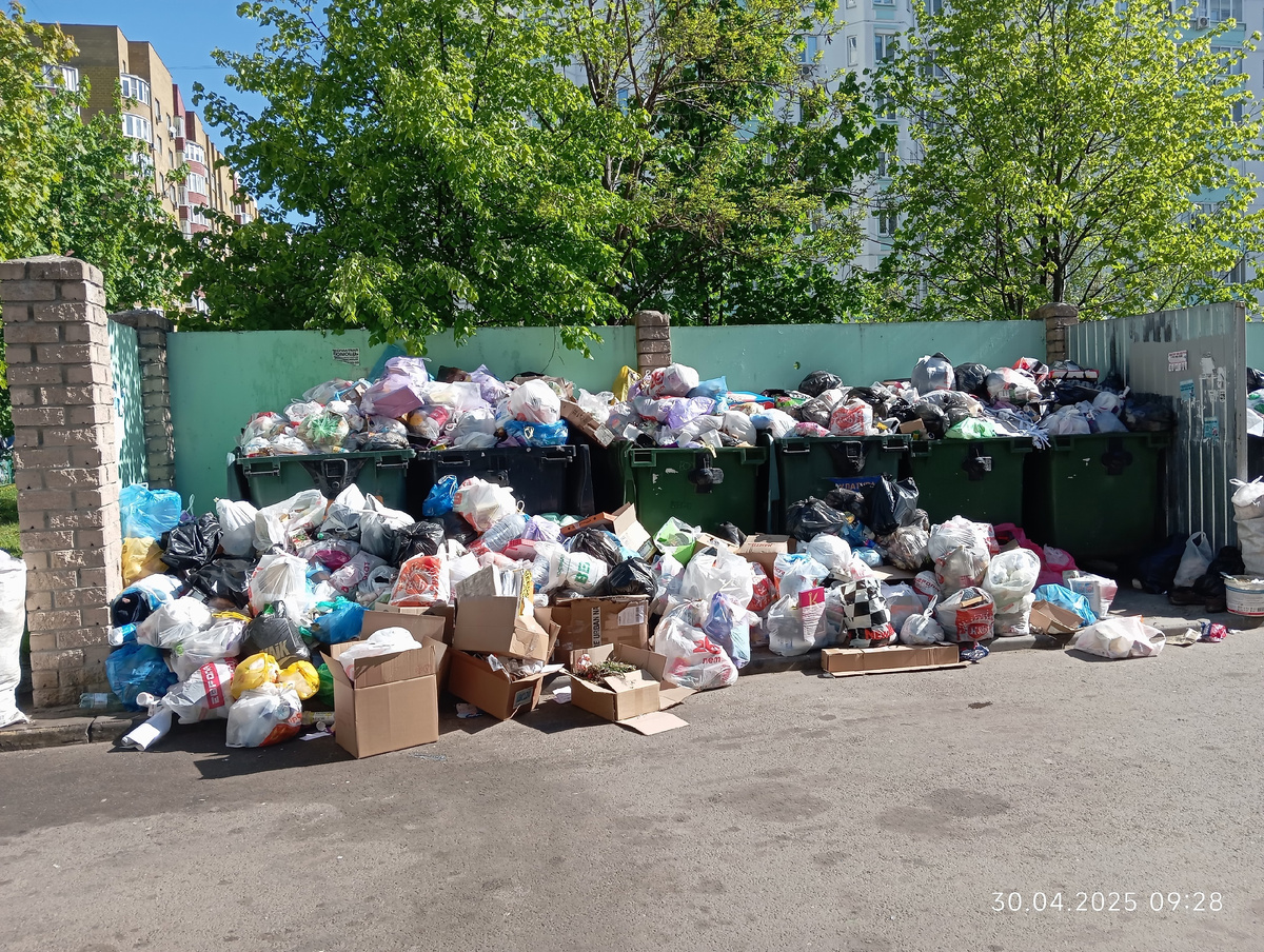 Фото местного жителя