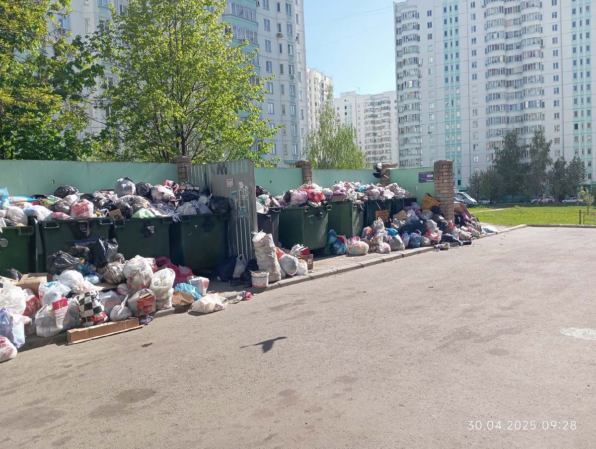 Фото местного жителя