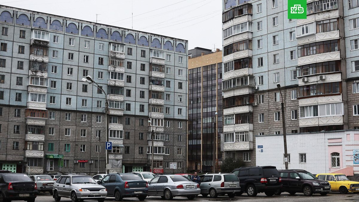    Фото: РИА Новости © 2025, Мария Плотникова