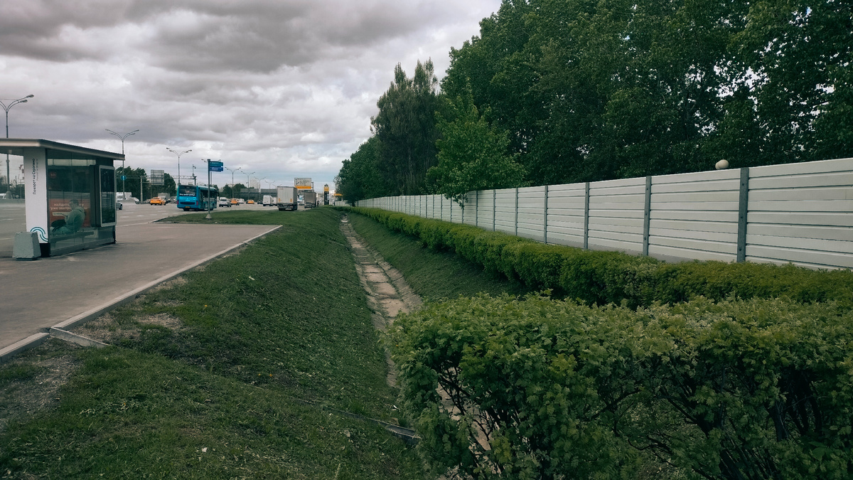 Забор с живой изгородью.