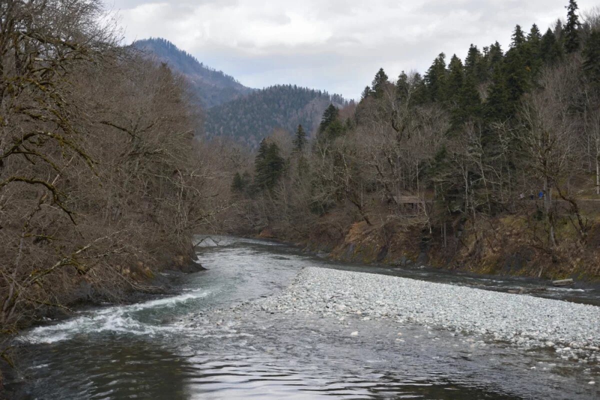    Летние экскурсии.