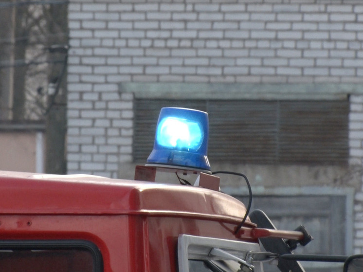     Фото: «МК в Ленобласти»/Надежда Гусарова.