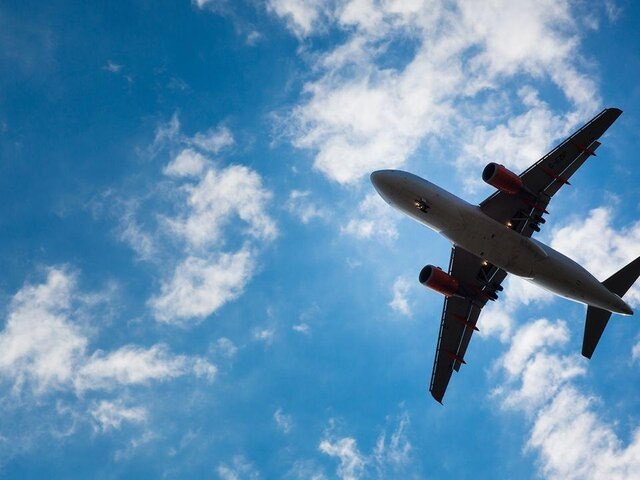    Фото: 123RF/lightpoet