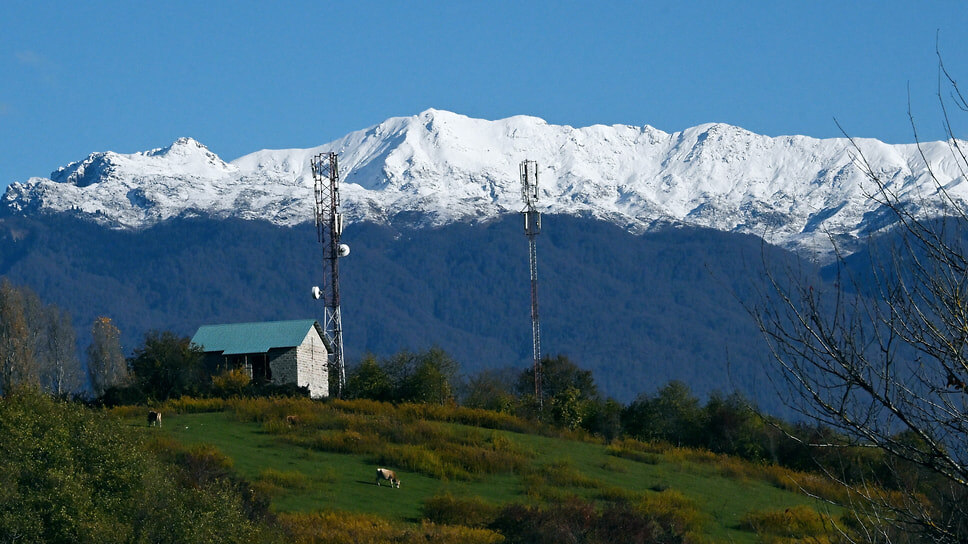 Фото: Анатолий Жданов / Коммерсантъ