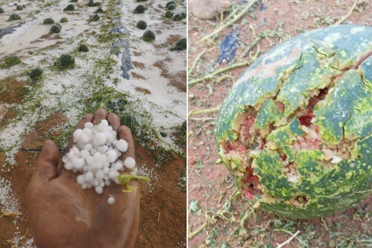 Фото: Ахмед Булджид