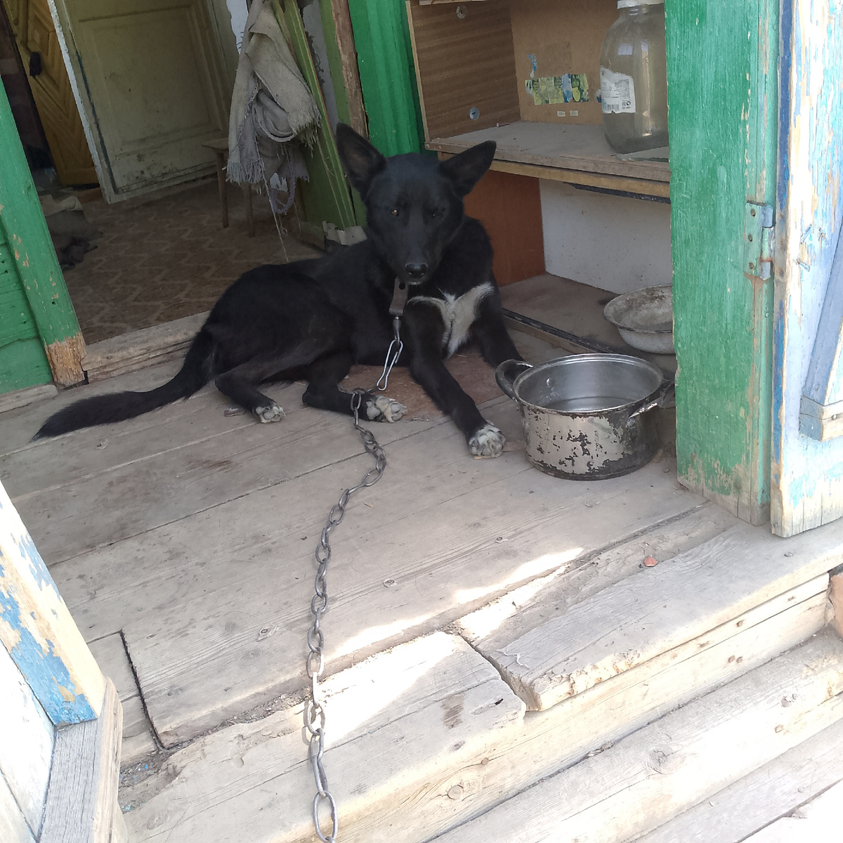 Порванная дверь.