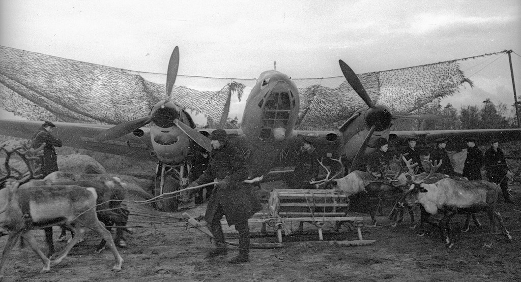 Олени подвозят бомбы к самолётам ПЕ-2. Фото. Е. Халдея. 1942 г.