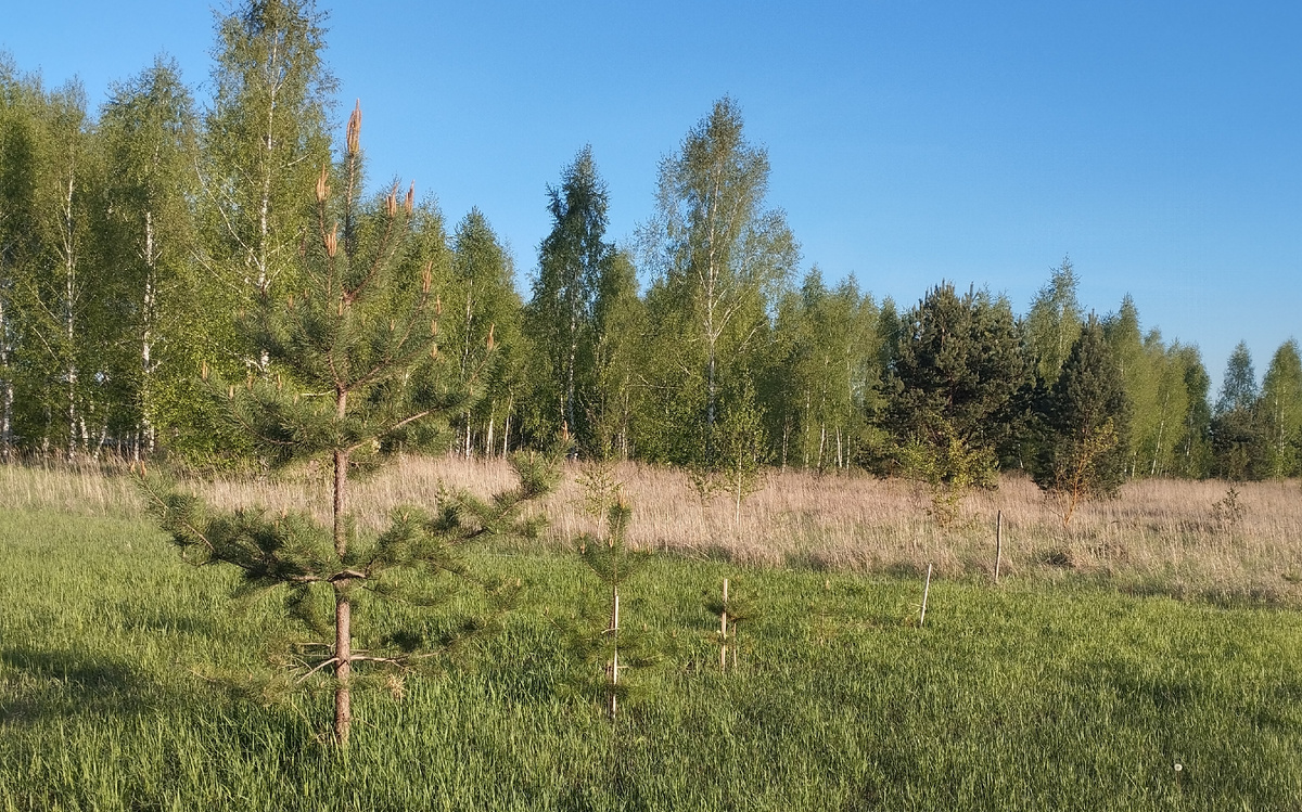 Солнечный майский день в Жёлтых Песках. Фото из личного архива.