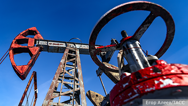     Фото: Егор Алеев/ТАСС   
 Текст: Игорь Иножарский