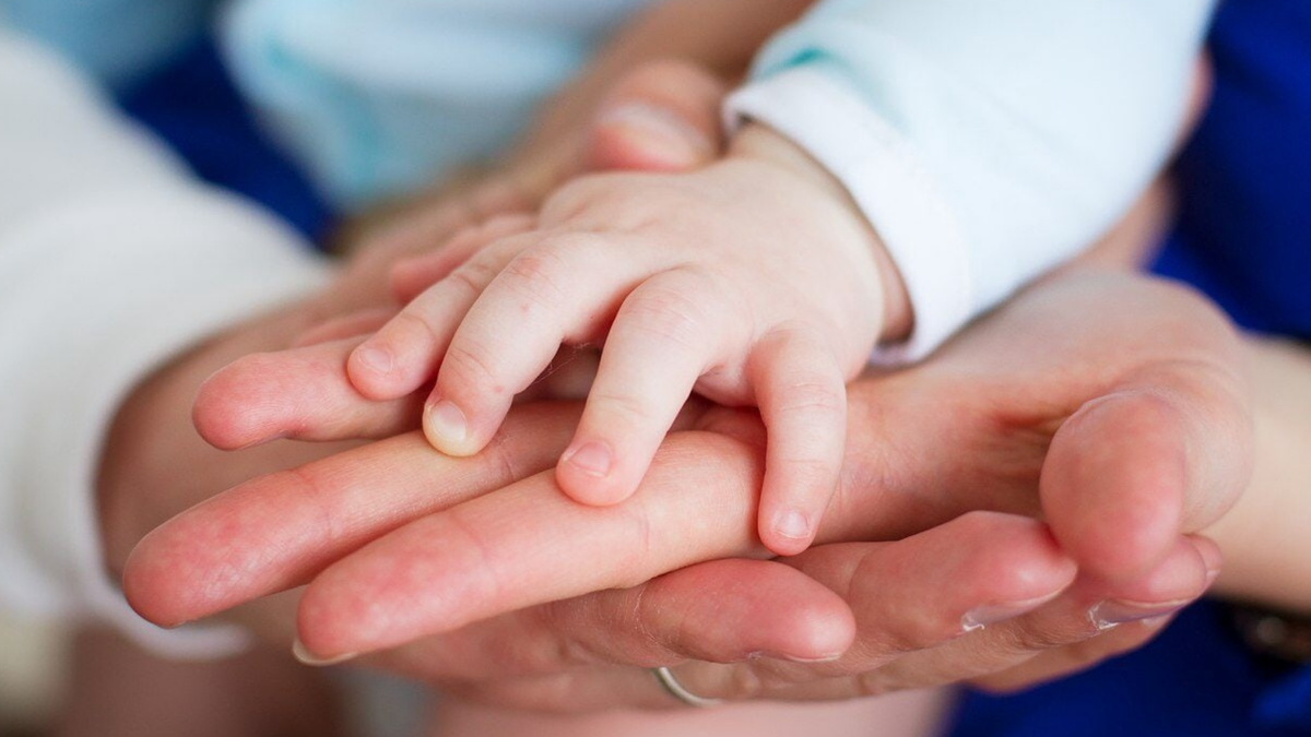 мы как часть единого целого