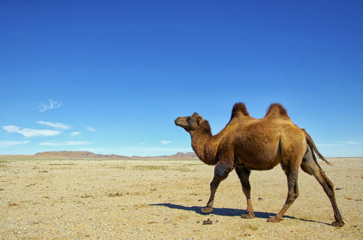 Когда люди не замечают истории, история не замечает их.