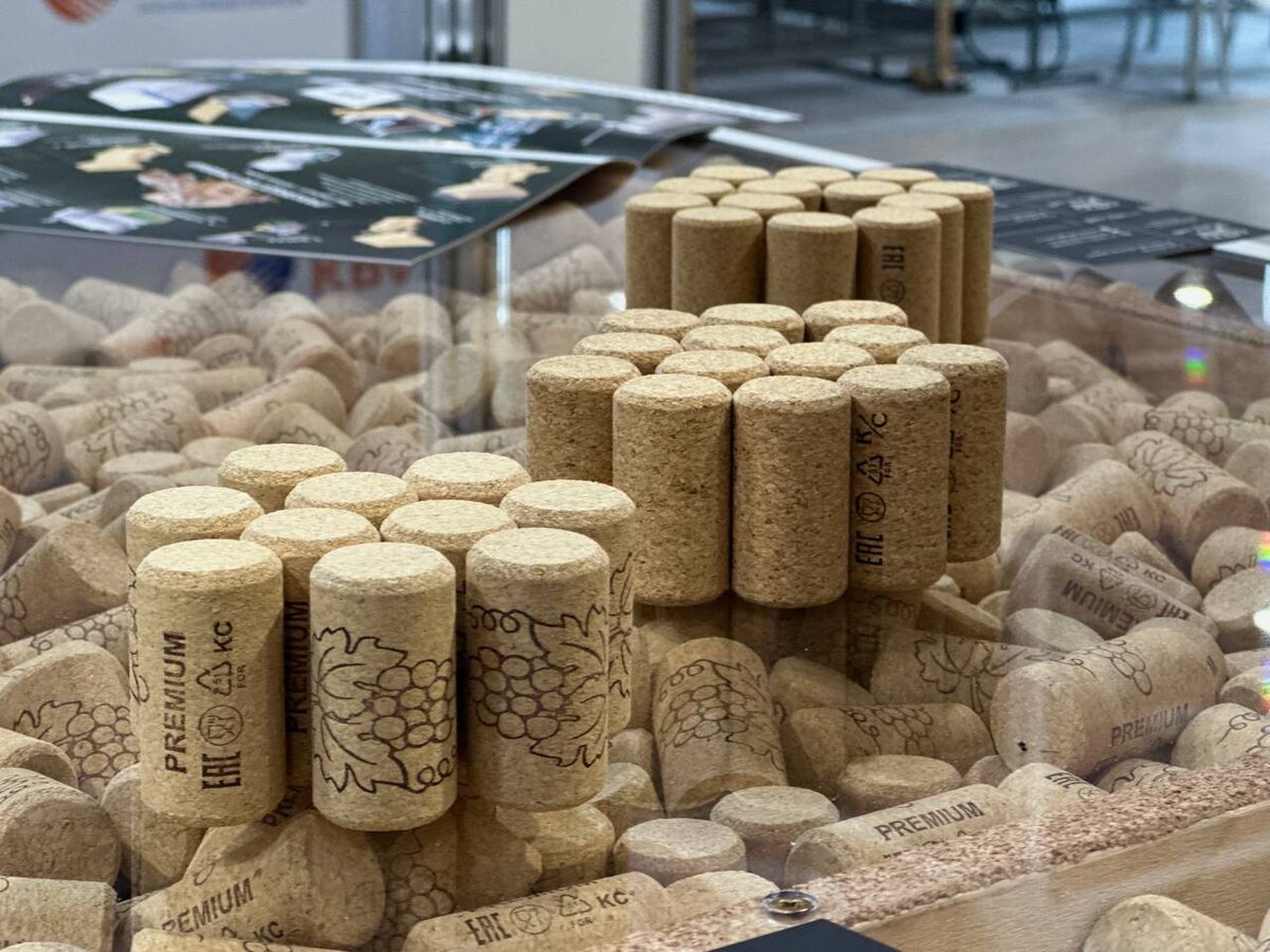 Фото: РБК Краснодар