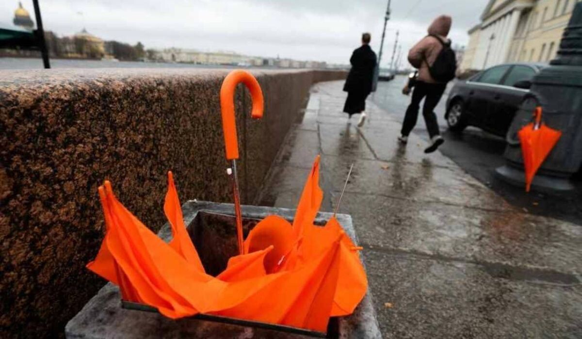     Зонты. Источник: kp.ru Автор фото: Юлия Пыхалова