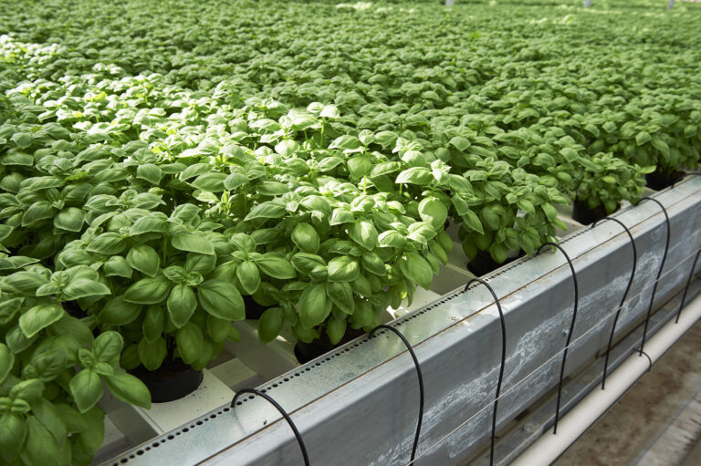 Фото: Getty Images