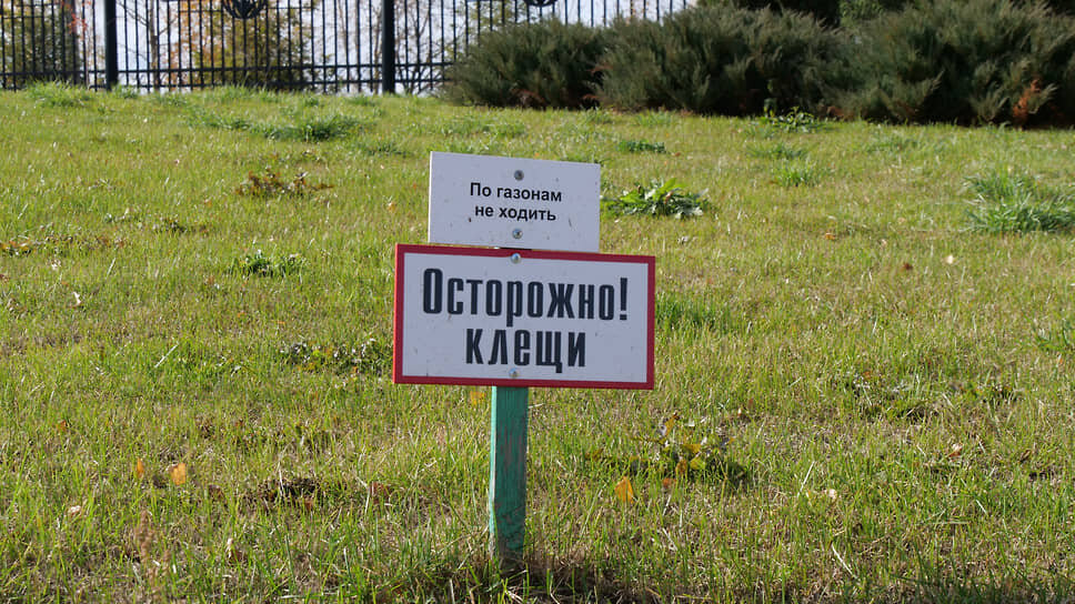 Фото: Евгения Яблонская / Коммерсантъ