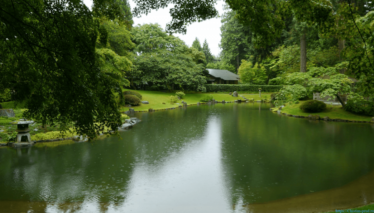 Очистка прудов и водоёмов