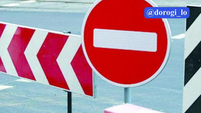 Фото: Dorogi_lo/telegram