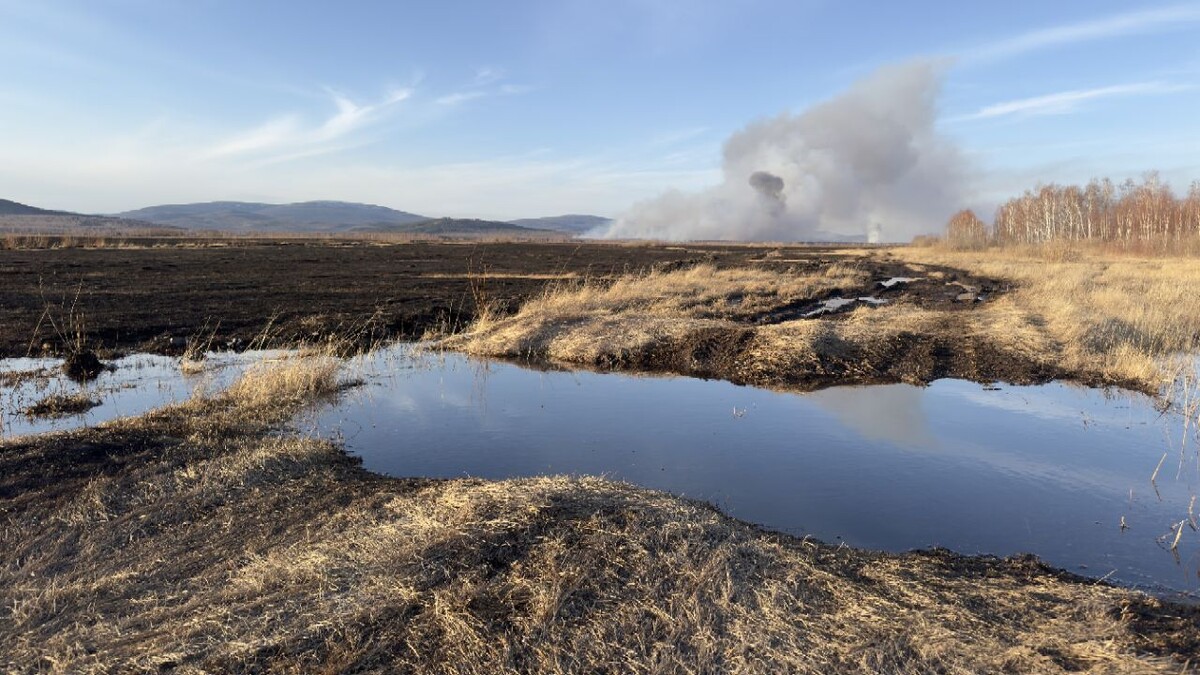    Фото: Пресс-служба правительства Забайкалья