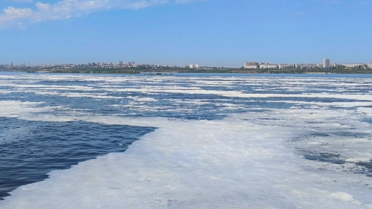     Источник: novostivolgograda.ru