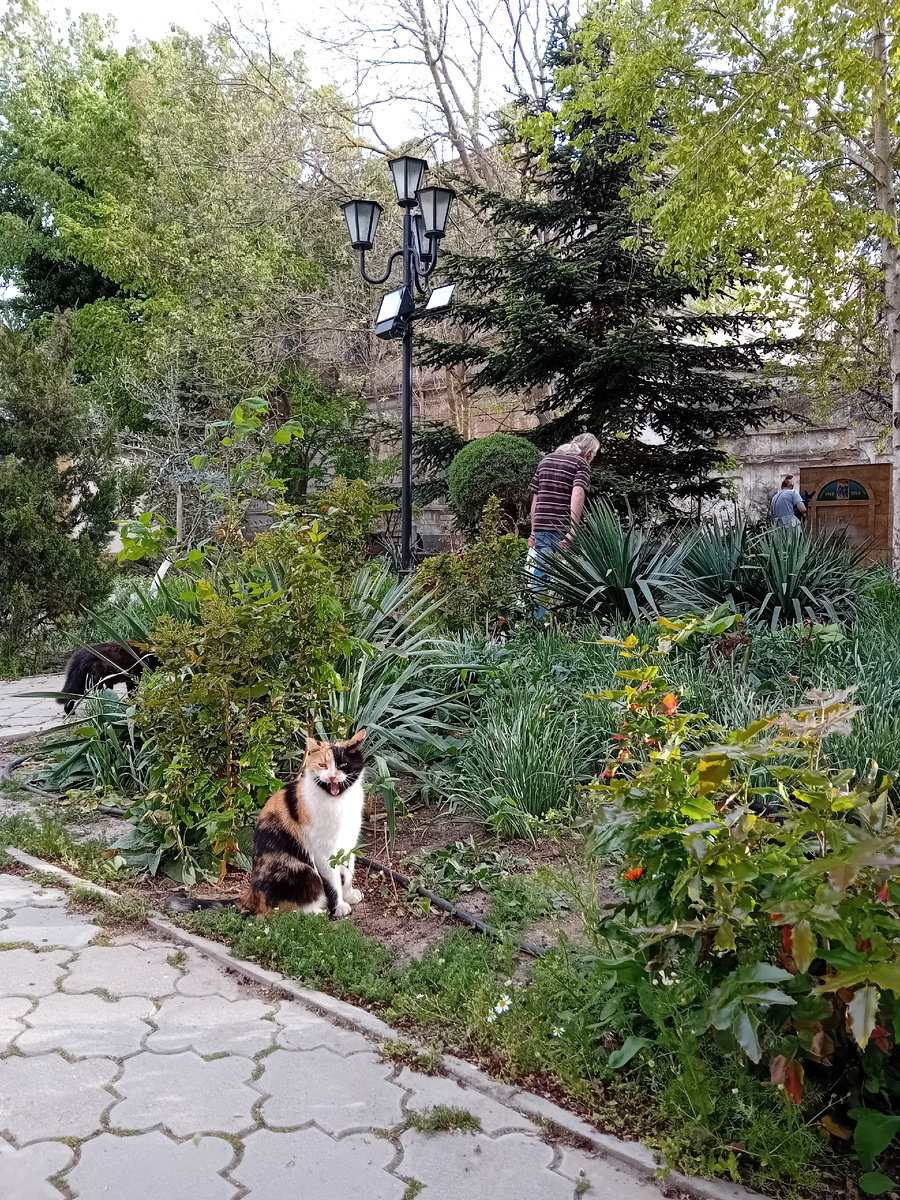 Авторское фото.