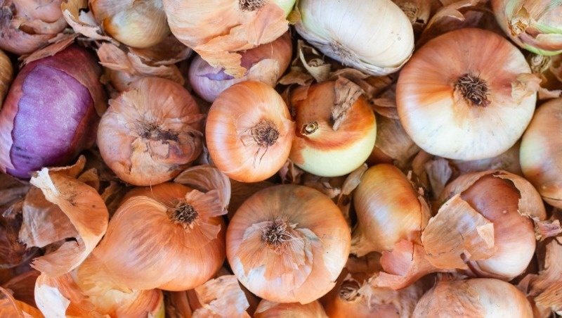 @freepik / freepik.com