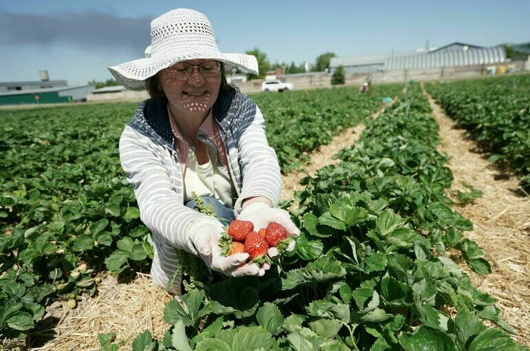   Пелагия Тихонова / АГН Москва