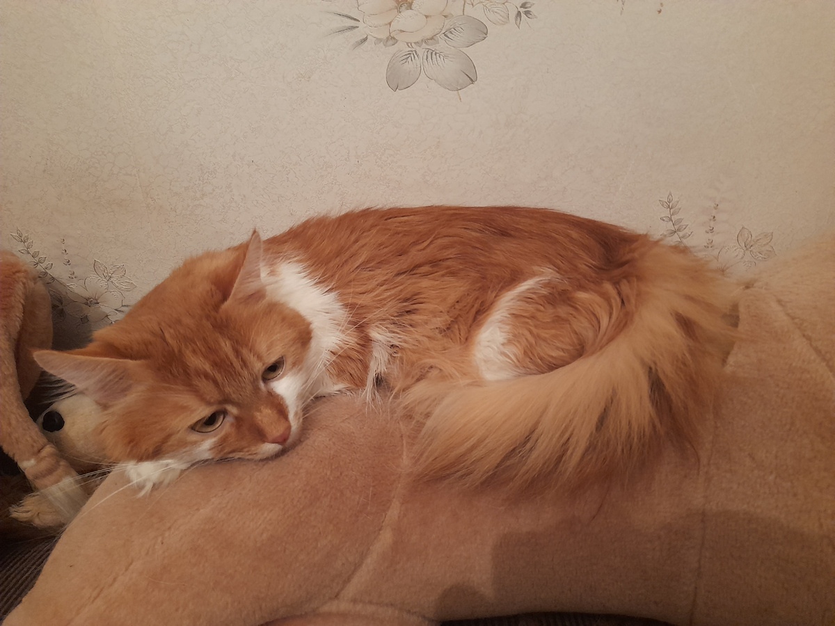 Фото автора.