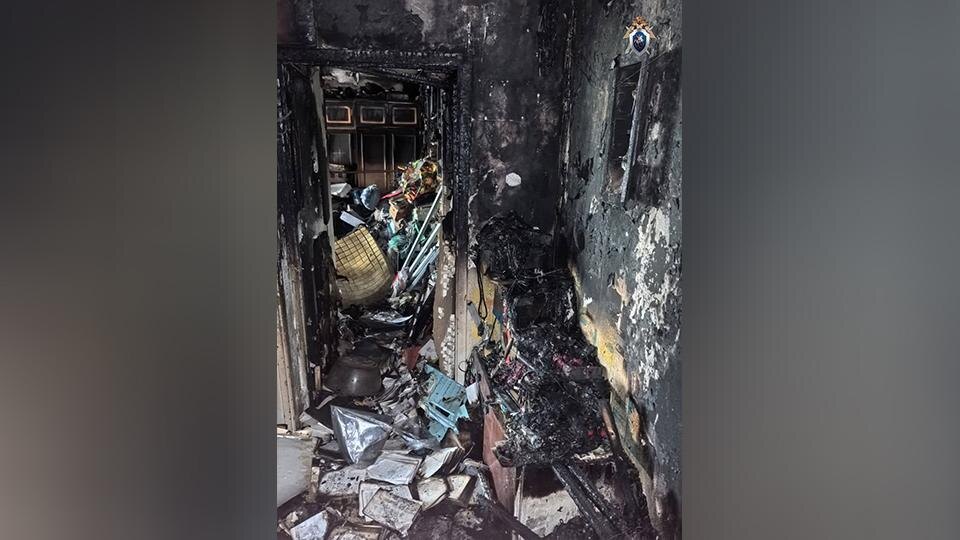    Фото: t.me/gsuskrf_spb