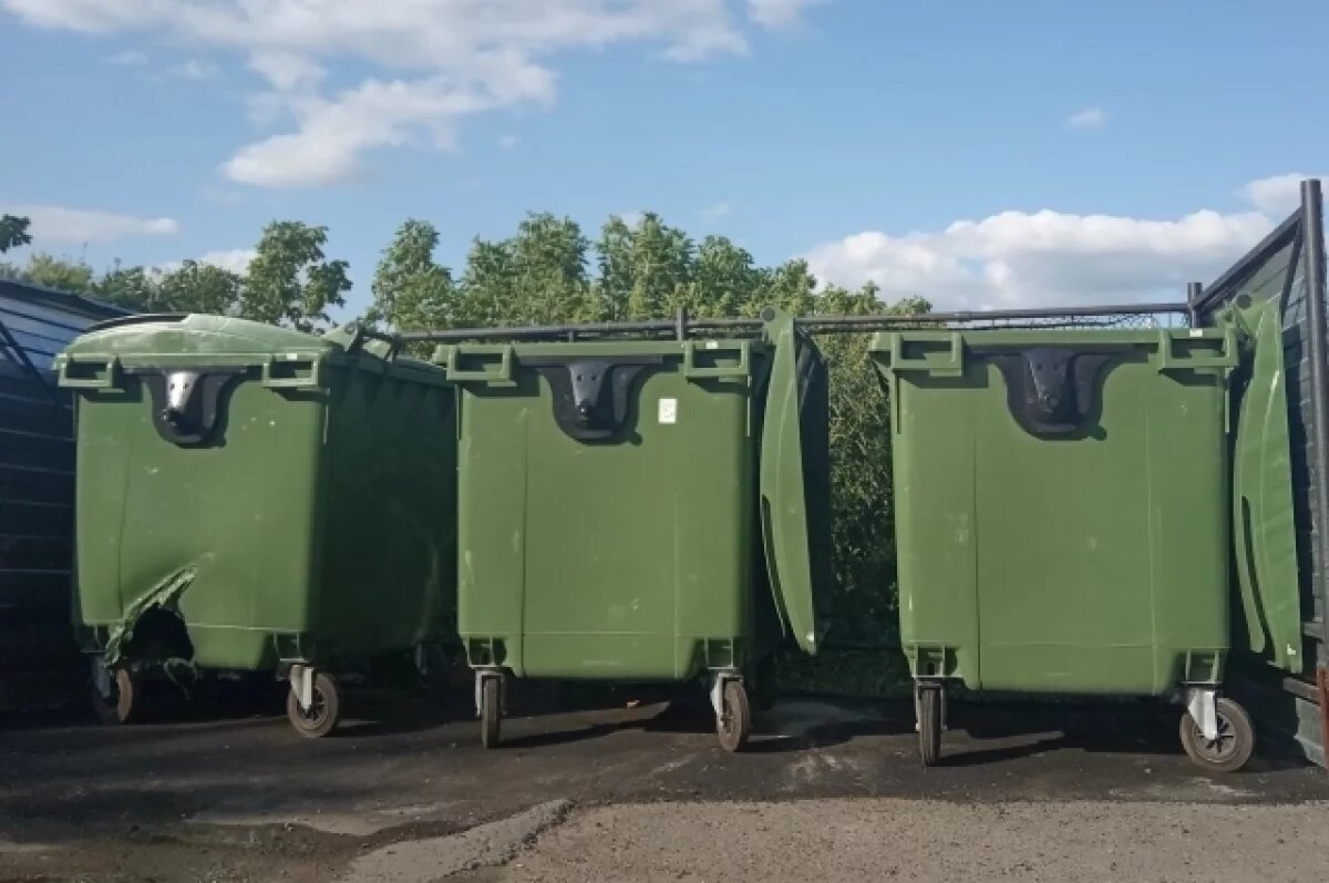    Власти Перми ответили на жалобу о мусорных баках на улице героя войны