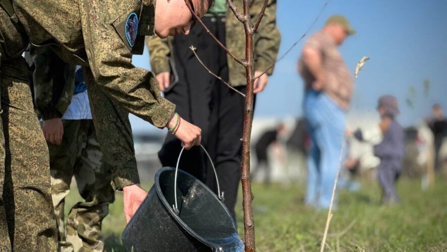    Фото: пресс-служба Верхнеуслонского района РТ