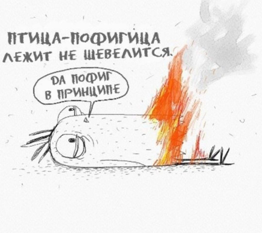 Благодарю за прочтение!