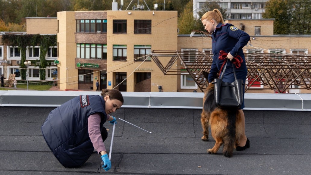 Листайте вправо, чтобы увидеть больше изображений