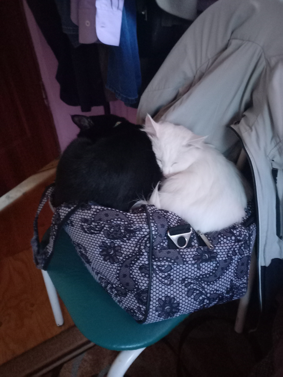 В тесноте, да не в обиде