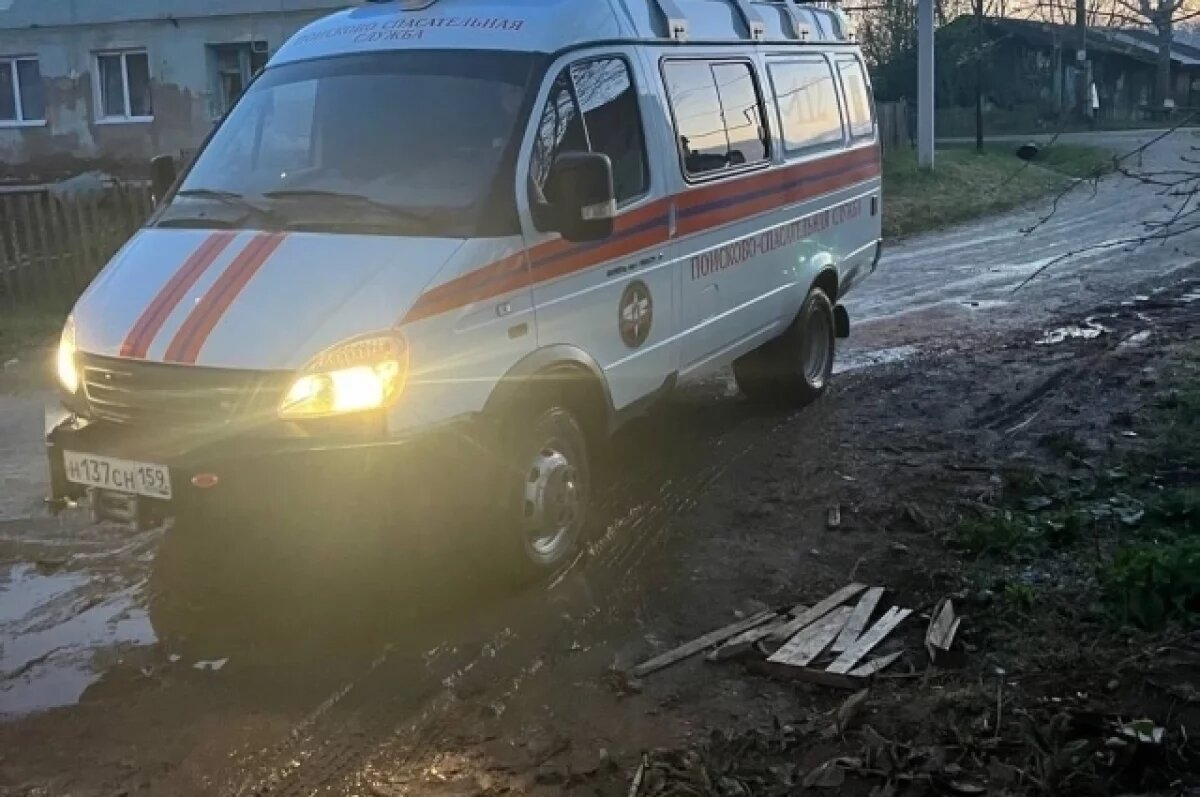    Собака провалилась в колодец и нуждалась в помощи людей в Пермском крае