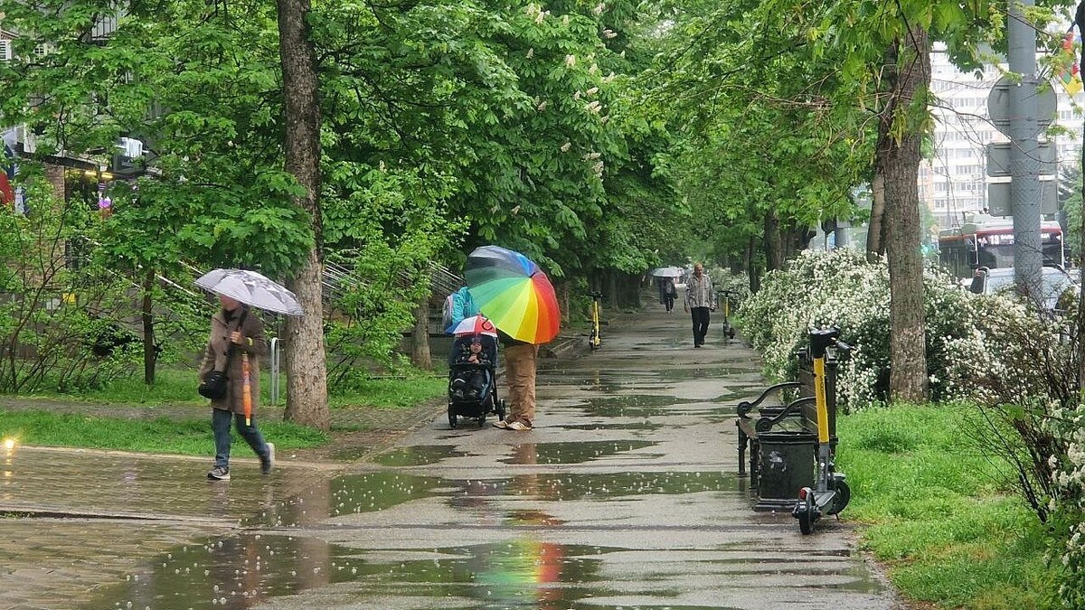    Фото: телеканал «Краснодар»