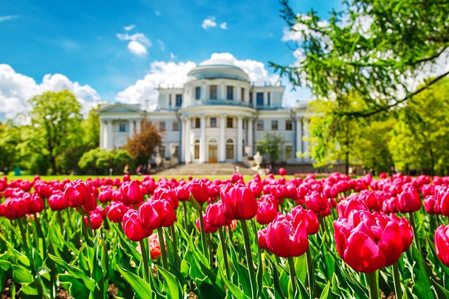 Фестиваль тюльпанов в ЦПКиО