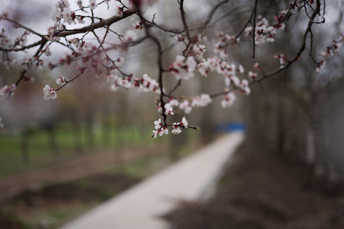 Фото: Ирина Сироткина