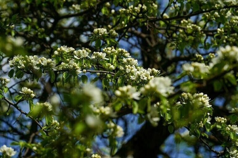   Александр Авилов /АГН «Москва»